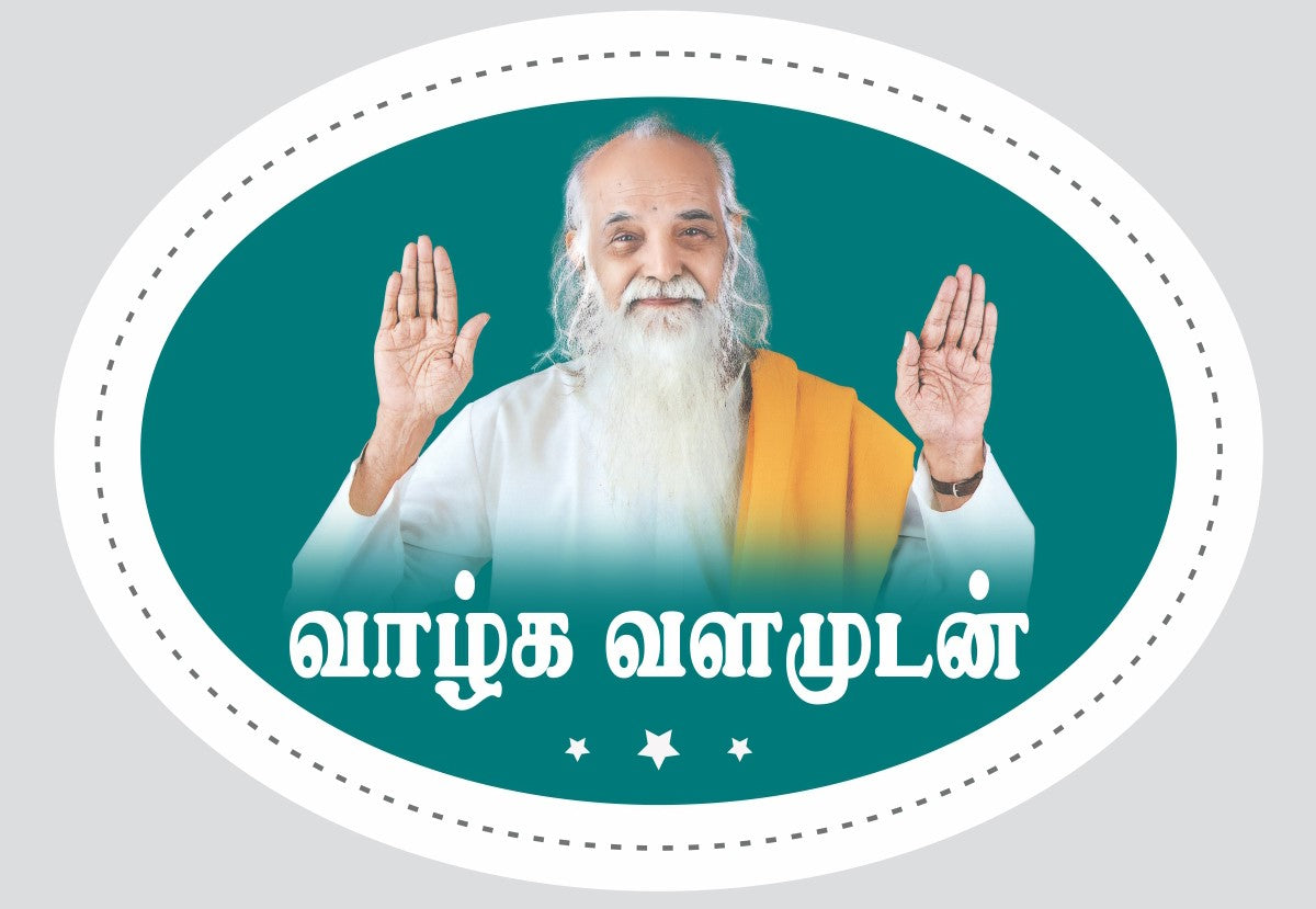 Hologram silver stickers-9