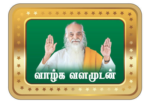 Hologram silver stickers-4