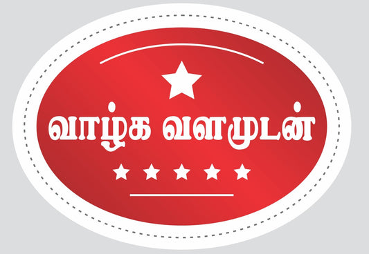 Hologram silver stickers-6